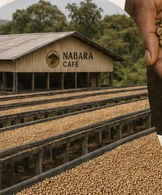 Ferme de café Nabara